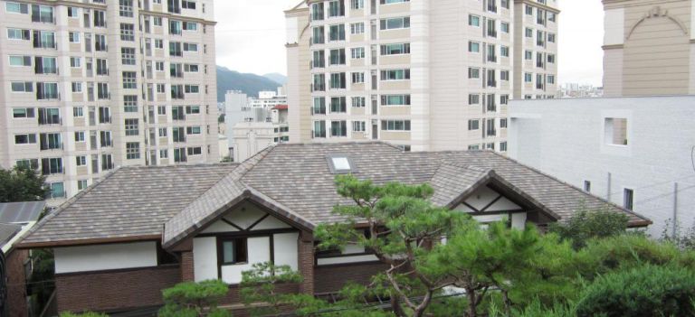 방배동 비슘